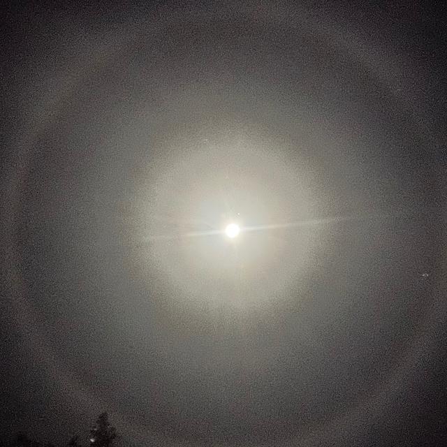 1 year Hair Growth Plan